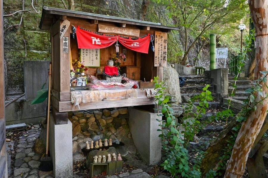 From Hiroshima: Rabbit Island and Takehara Town Tour - Lunch, Timing, and What the 570 Minutes Really Mean for You