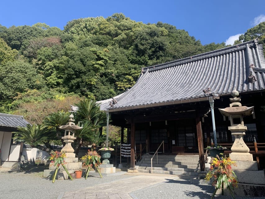 From Hiroshima: Rabbit Island and Takehara Town Tour - Price and Value: What $170 Buys (and Why It’s Not Just a Ticket)