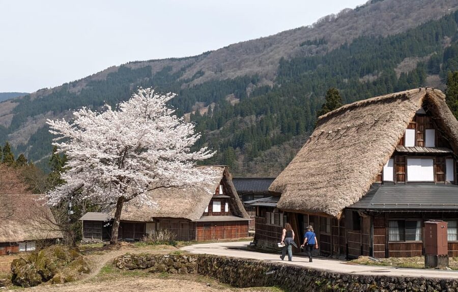 From Kanazawa: Shirakawa-go, Gokayama and Wood Carving Art - Shirakawa-go UNESCO time: guided walking plus breathing room