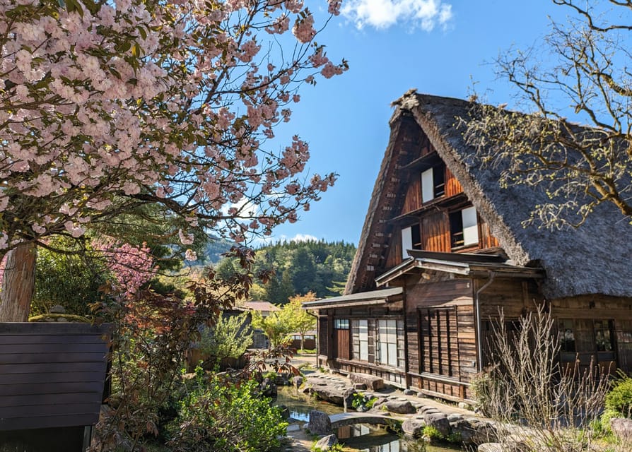 From Kanazawa: Shirakawa-go, Gokayama and Wood Carving Art - The Shima matcha moment: a small cultural break built in