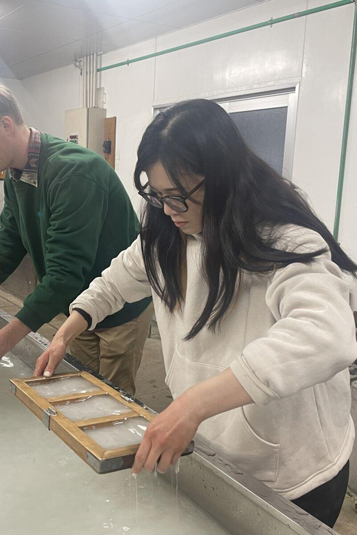 From Kanazawa: Shirakawa-go, Gokayama and Wood Carving Art - Price and value: what $180 is buying you on a one-day schedule