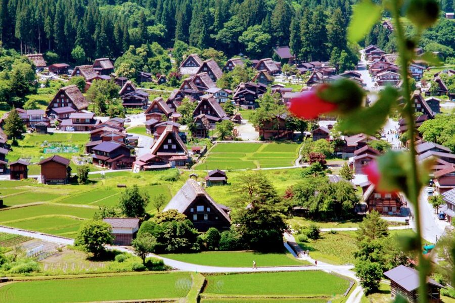 From Kanazawa: Shirakawago, Hida-Furukawa and Takayama Visit - Who this Kanazawa day trip is perfect for