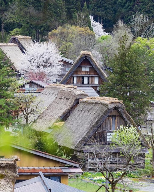 From Kanazawa/Toyama: Shirakawago and Takayama Day Tour - Key highlights to know before you go