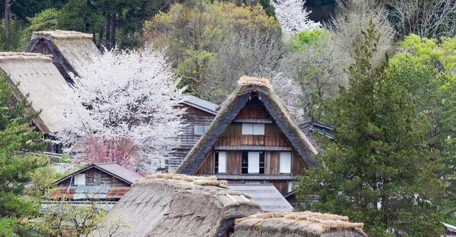 From Kanazawa/Toyama: Shirakawago and Takayama Day Tour - What to bring and how to handle mountain weather