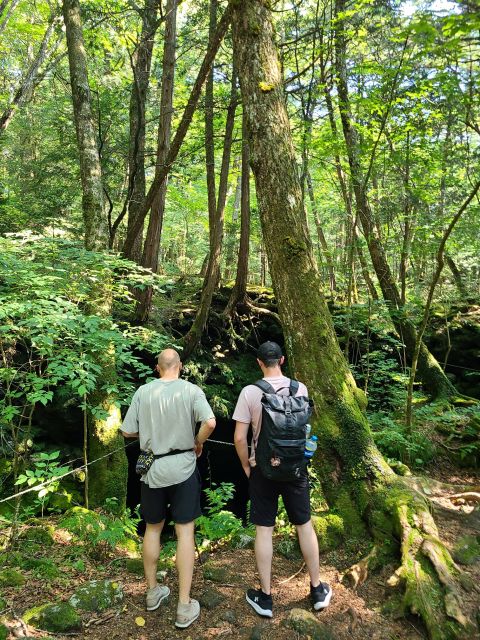 From Kawaguchiko: Mt. Fuji Private Tour with a Local Guide - Saiko Iyashi-no-Sato Nenba, Arakura Shrine, and the Dragon Cave