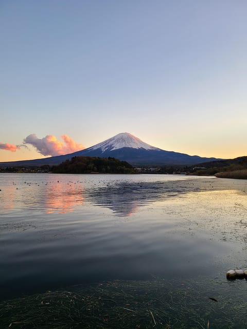 From Kawaguchiko: Mt. Fuji Private Tour with a Local Guide - The Big Difference: Mt. Fuji Visibility Changes the Plan