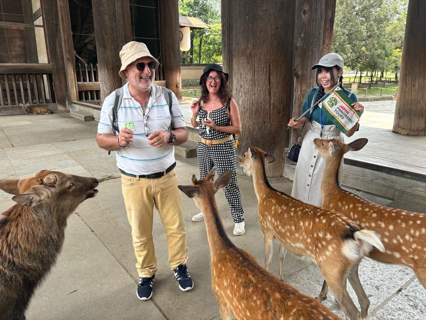 From Kyoto: Nara Guided Morning Tour - Key Things I Think You Should Notice
