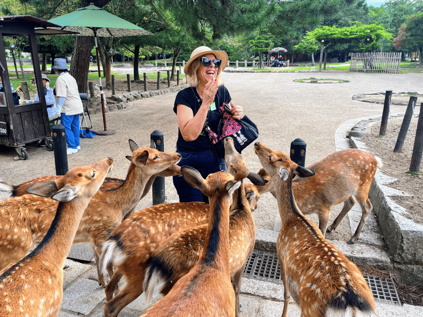 From Kyoto: Nara Guided Morning Tour - Where Your Morning Begins at Kyoto Avanti