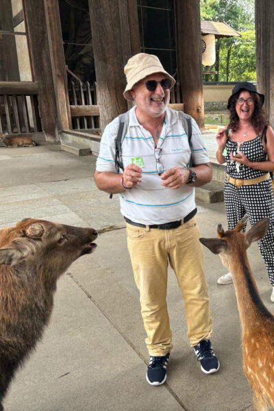 Nara Guided Morning Tour