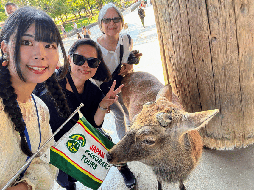 From Kyoto: Nara Guided Morning Tour - Nara Park Deer Time: Fun, Fast, and Full of Rules