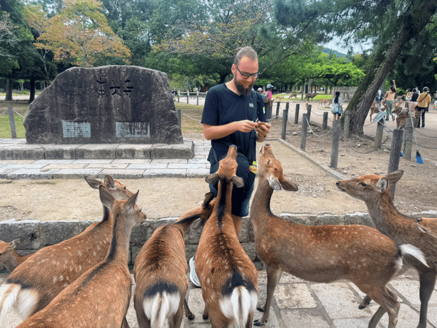 From Kyoto: Nara Guided Morning Tour - What to Pack and How to Avoid Common Day-of Problems