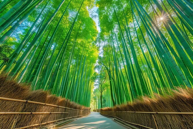 From Kyoto / Osaka: Kyoto Must-see Spots & Nara Park One Day Tour - Key Highlights I’d Plan Around