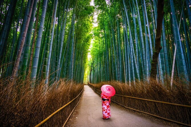 From Kyoto / Osaka: Kyoto Must-see Spots & Nara Park One Day Tour - A 9-Hour Kyoto and Nara Highlights Loop