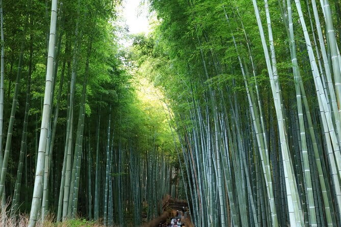 From Kyoto / Osaka: Kyoto Must-see Spots & Nara Park One Day Tour - Nara Park Deer Time and the Temples You Can Reach