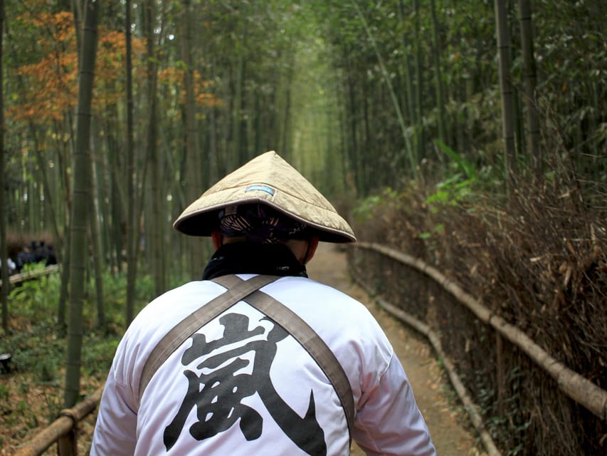From Kyoto/Osaka: Kyoto Top Highlights 1-Day Guided Bus Tour - Your guide on the mic: why English narration changes the whole day