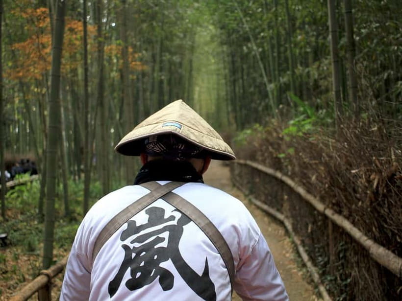 From Kyoto/Osaka: Kyoto Top Highlights 1-Day Guided Bus Tour - Kyoto Highlights by Coach: the smart one-day hit list from Osaka