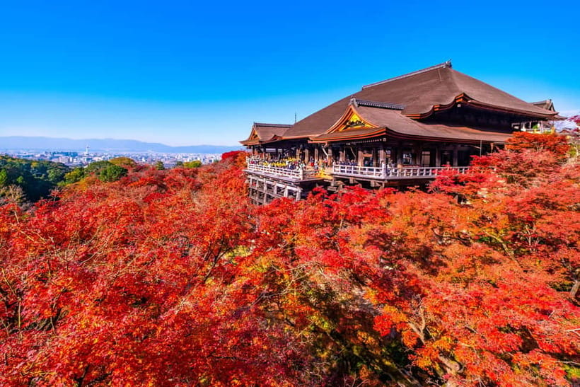 From Kyoto/Osaka: Kyoto Top Highlights 1-Day Guided Bus Tour - Arashiyama and Sagano Bamboo Forest: river views plus mosquito reality