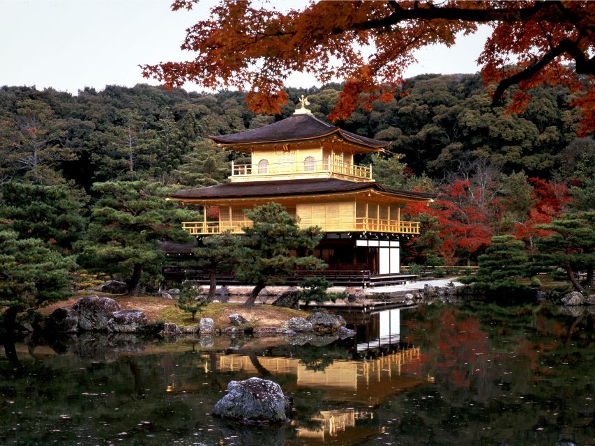 From Kyoto/Osaka: Kyoto Top Highlights 1-Day Guided Bus Tour - Lunch options and dietary limits (halal and vegan not available)