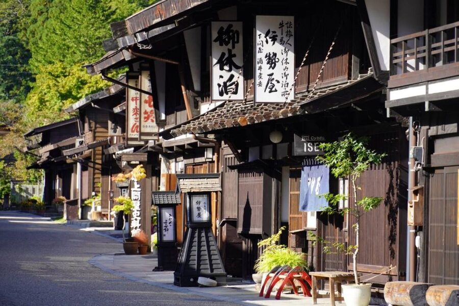 From Matsumoto/Nagano: Nakasendo Trail Walking Tour - The Nakasendo Trail segment: cobblestones, rural paths, and wildlife