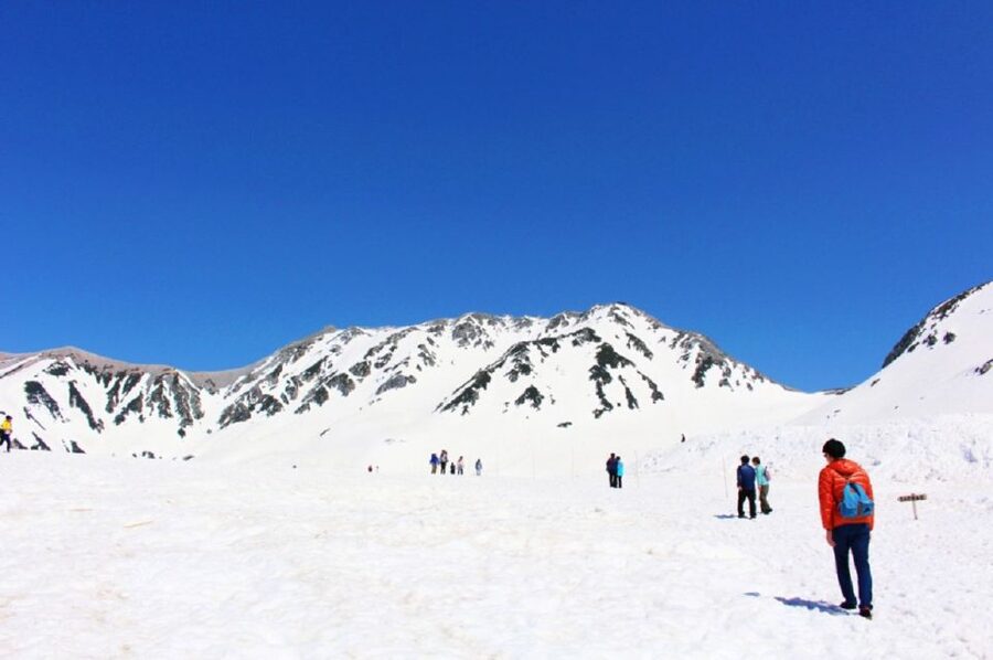 From Nagano: Tateyama-Kurobe Alpine Route - Key highlights worth your attention