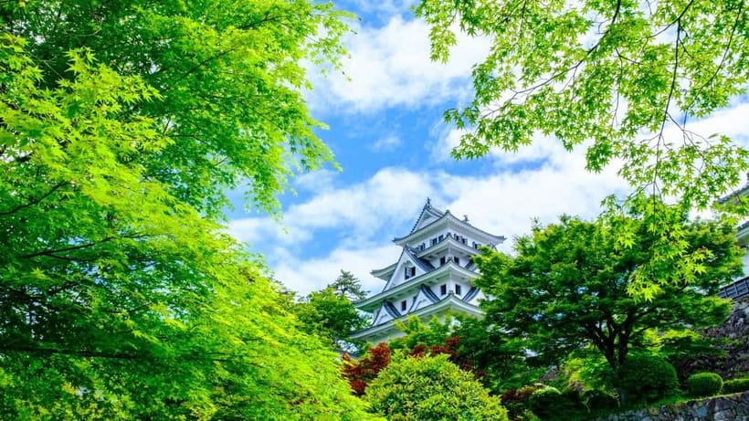 From Nagoya: Gujo, Hida Takayama, and Shirakawa-go Day Tour - Gujo Hachiman: Edo-Era Row Houses and That Riverside Waterway
