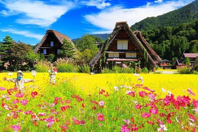 From Nagoya: Hida Takayama & Shirakawago Tour (Small Group) - Price and value: what $208.53 buys you in the real world