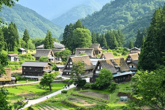 From Nagoya: Hida Takayama & Shirakawago Tour (Small Group) - Shirakawa-go’s UNESCO lanes: rice paddies, thatched roofs, and an included house visit