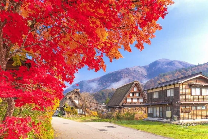 From Nagoya: Shirakawa-go & Hida-Takayama Full Day Trip - Key highlights