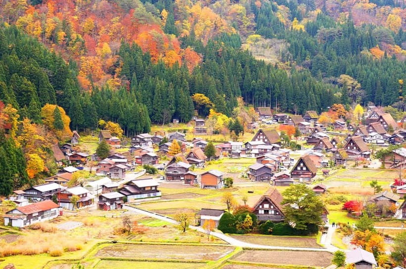 From Nagoya: Shirakawa-go & Hida-Takayama Full Day Trip - Price and Logistics: What You Get for $57 and What You Trade Away