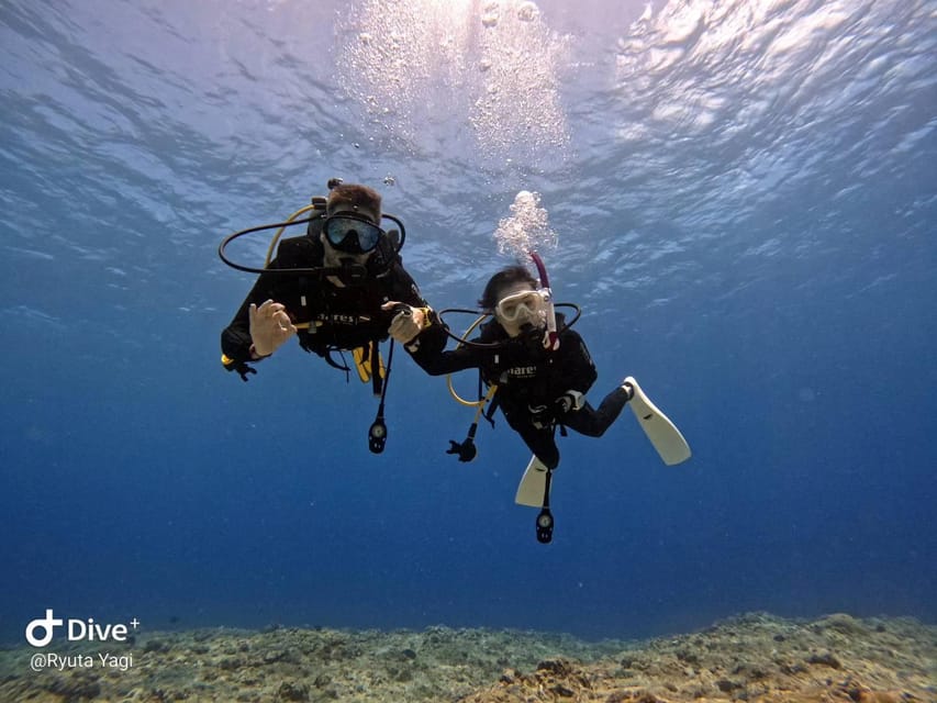 From Naha Scuba Diving Trip in Kerama(for certified divers) - Value check: is $206 per person a good deal?