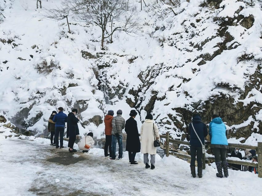 From Nozawa Onsen: Snow Monkeys and Zenko-ji Day Trip & Sake - The winter walk: what to wear and how to stay steady on ice