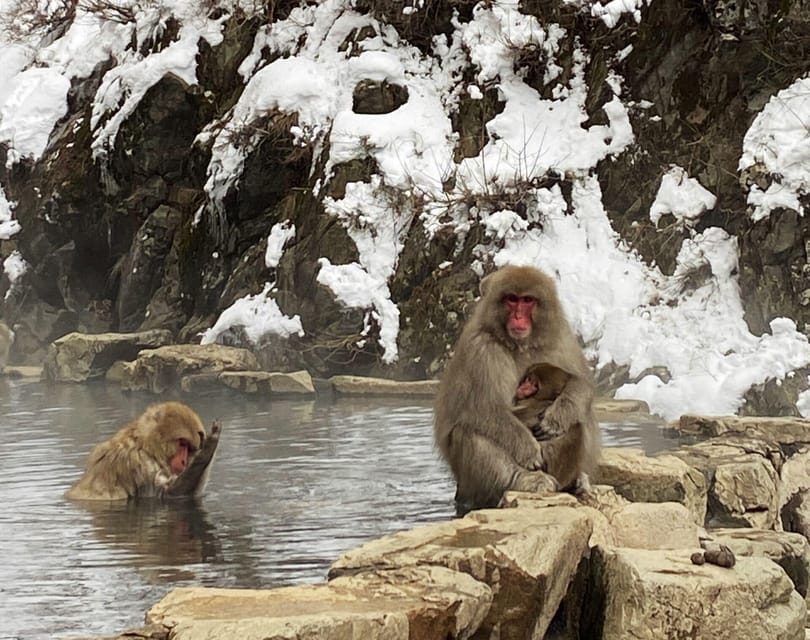 From Nozawa Onsen: Snow Monkeys and Zenko-ji Day Trip & Sake - Zenko-ji in the afternoon: why this temple stop is worth your time