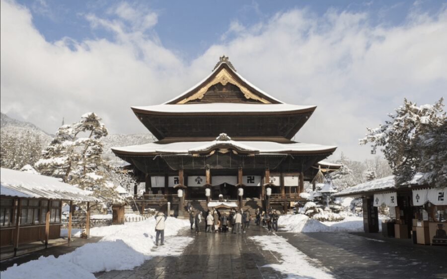 From Nozawa Onsen: Snow Monkeys and Zenko-ji Day Trip & Sake - Morning: Jigokudani Snow Monkey Park and how the rules shape your visit