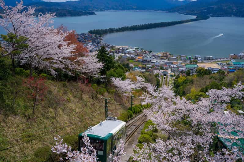 From Osaka: Amanohashidate and Ine Bay Day Trip - Key highlights worth planning for