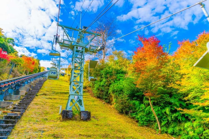 From Osaka: Amanohashidate and Ine Bay Day Trip - The guide makes a difference, especially when English is limited