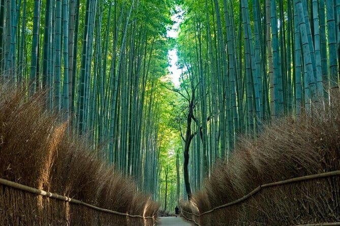 From Osaka/Kyoto: Kyoto & Nara Day Trip with Optional Lunch - Key things to know before you go
