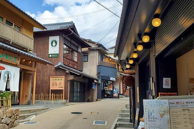 From Osaka/Kyoto: Kyoto & Nara Day Trip with Optional Lunch - Time on the bus, meeting points, and how to avoid stress