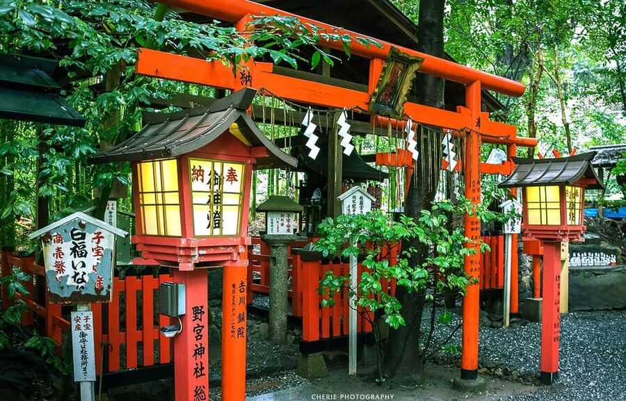 From Osaka: Kyoto, Nara, Fushimi Inari & Arashiyama Day Tour - Price and what your $56 covers