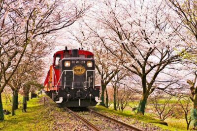 Kyoto, Nara, Fushimi Inari & Arashiyama Day Tour