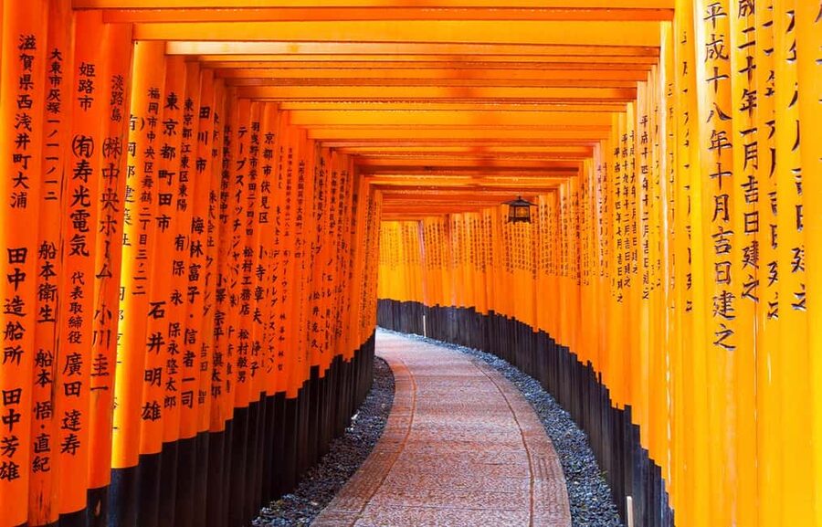 From Osaka: Kyoto, Nara, Fushimi Inari & Arashiyama Day Tour - Nara Park deer time, the fun you can’t really fake