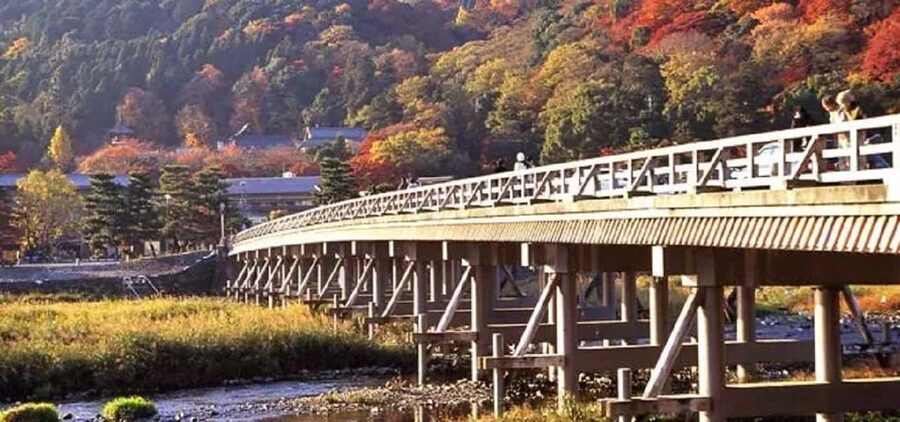 From Osaka: Kyoto, Nara, Fushimi Inari & Arashiyama Day Tour - Kimono Forest light poles: when art becomes a city shortcut