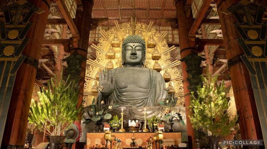 From Osaka/Kyoto: Private Kyoto & Nara Day Trip with Pickup - Kinkaku-ji Golden Pavilion: where architecture and atmosphere meet