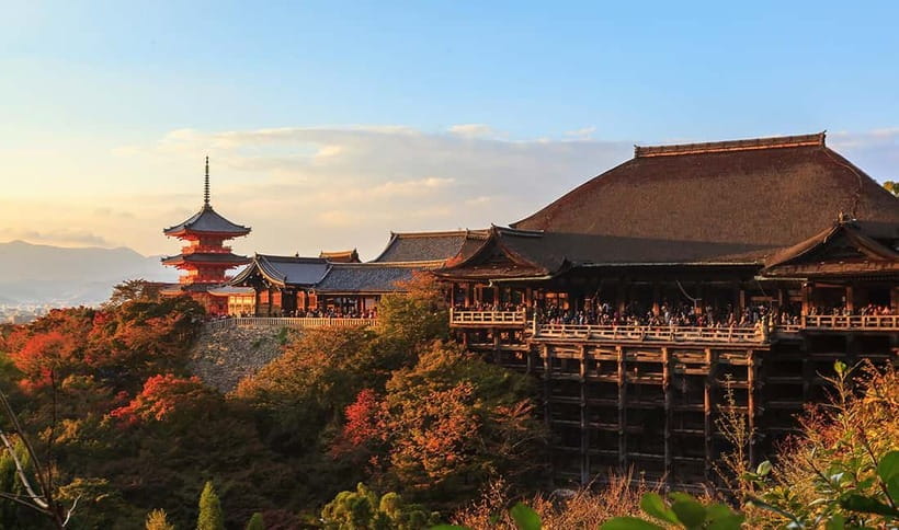 From Osaka: Nara Deer & Kyoto Kiyomizudera Sightseeing Tour - Price and value: what $69 buys you, and what costs extra