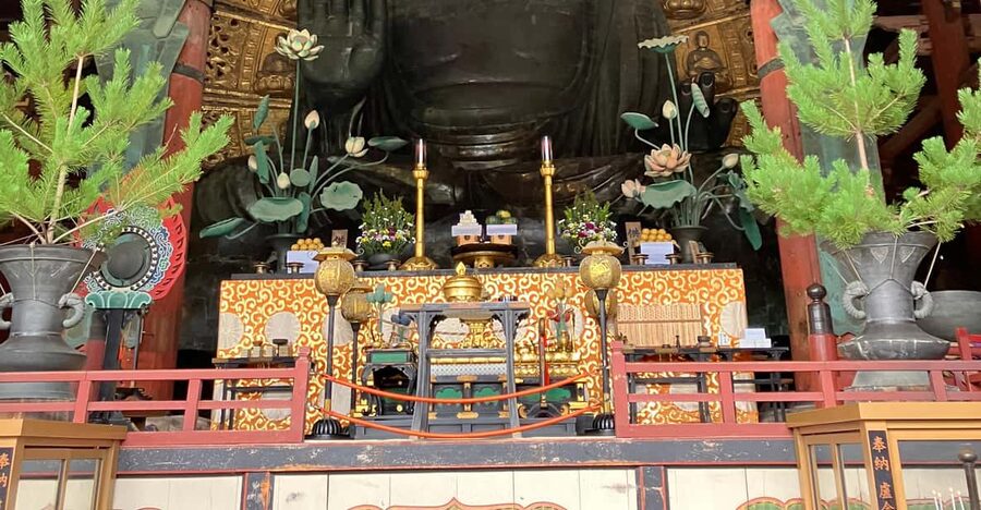 From Osaka: Nara Private Tour with Meet-Up at Your Hotel - Key Highlights Worth Your Time