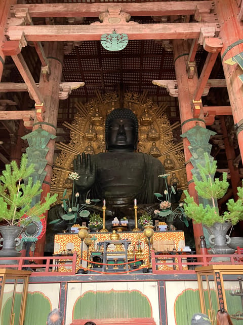 From Osaka: Nara Private Tour with Meet-Up at Your Hotel - Hotel Pick-Up, Rail Time, and How the Day Stays Manageable