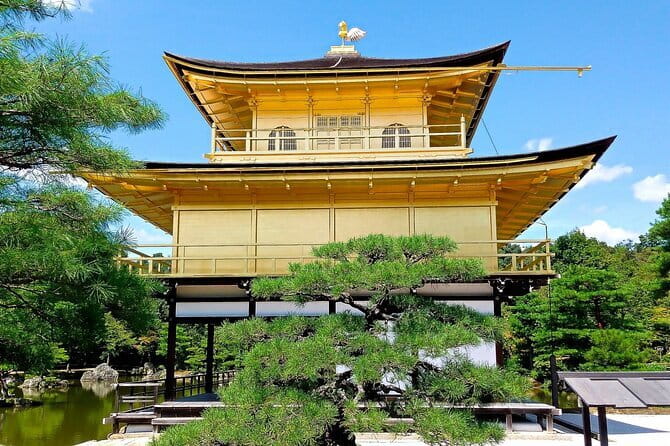 From Osaka or Kyoto: Kyoto and Nara 1-Day Bus Tour - Key highlights before you go