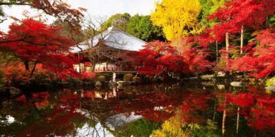 Private Customized Day Tour to Kyoto