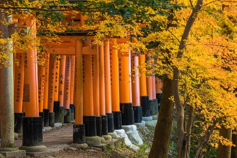 From Osaka: Sagano Train Ride and Kyoto Guided Day Tour - Arashiyama Bamboo Forest and the Katsura River, walk slow on purpose