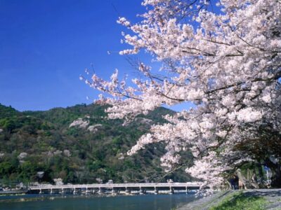 Sagano Train Ride and Kyoto Guided Day Tour