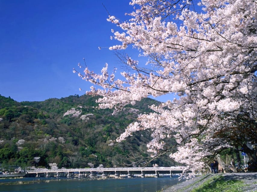 From Osaka: Sagano Train Ride and Kyoto Guided Day Tour - The Sagano Romantic Train: river bends, mountain views, and calm air